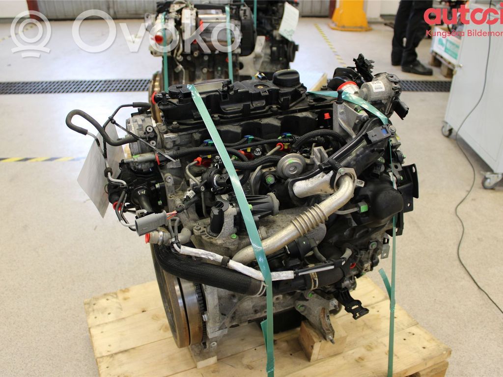 Ford Transit -  Tourneo Connect Variklis 