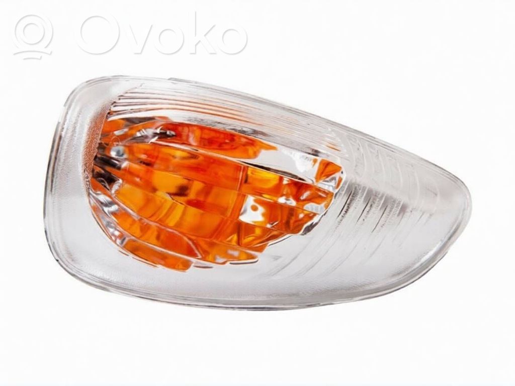 Renault Master III Spiegelblinker 