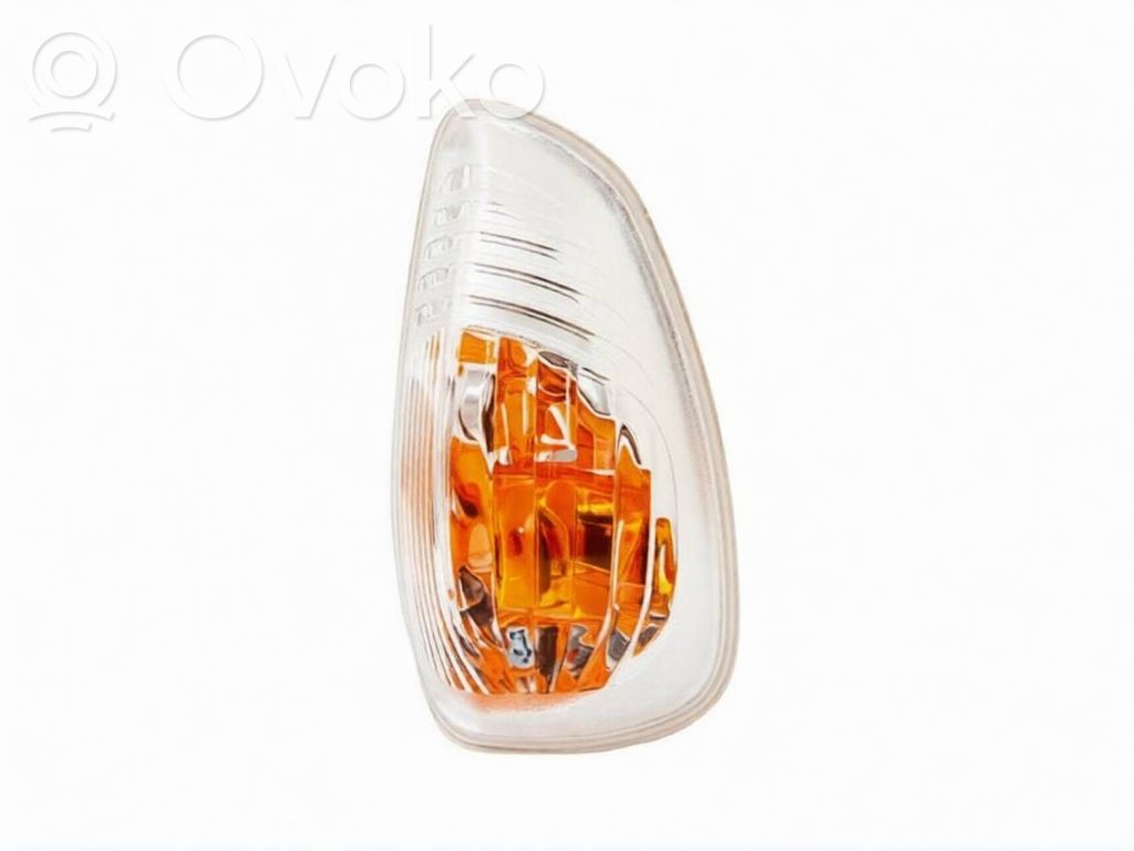 Renault Master III Spiegelblinker 