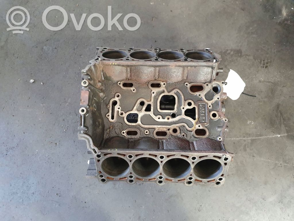 Variklis   BVN42TDI
