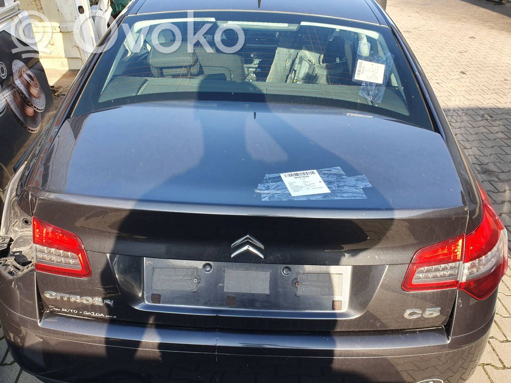 Citroen C5 Galinis dangtis (bagažinės) 
