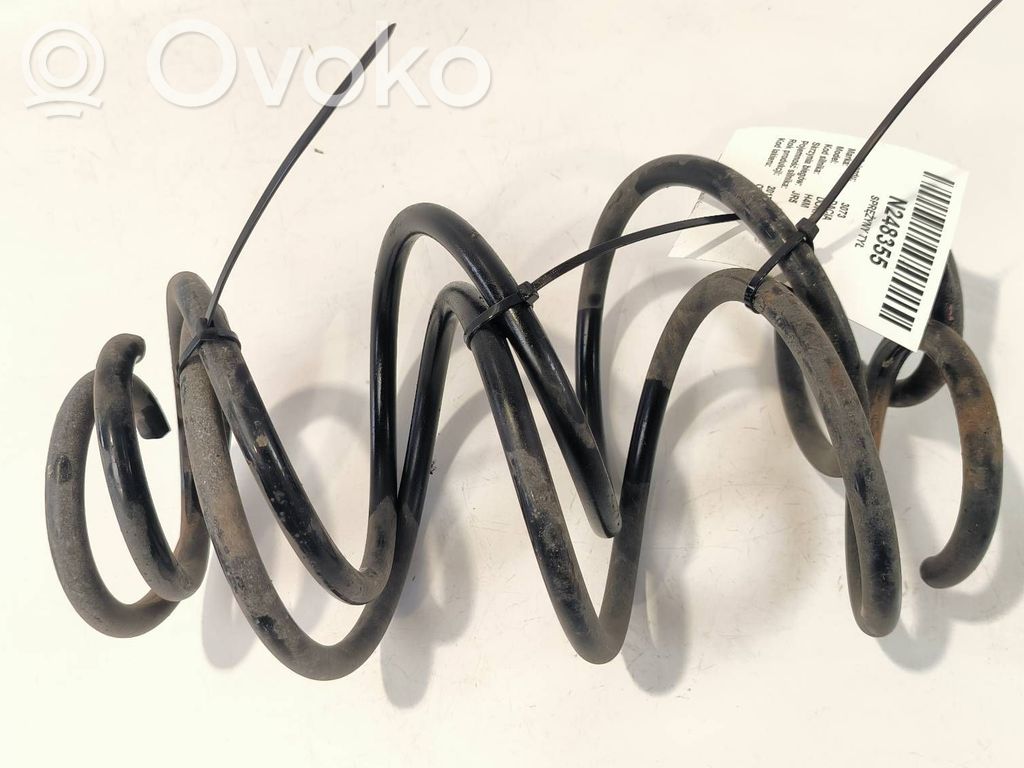 Rear coil spring