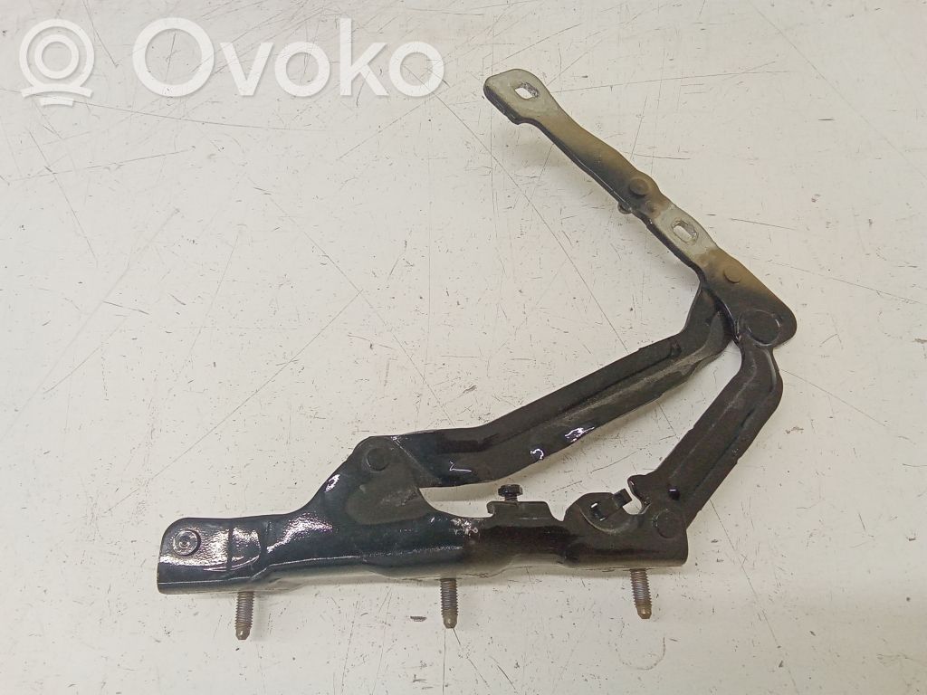 Tesla Model 3 Tailgate/trunk/boot hinge 