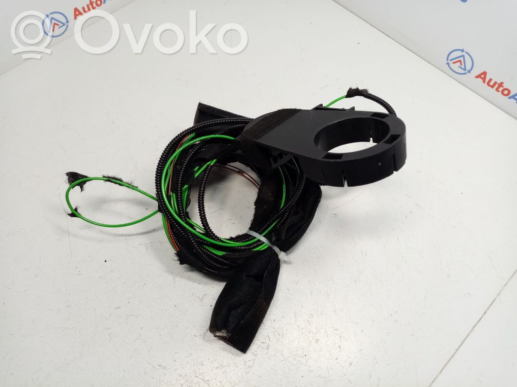 Other wiring loom