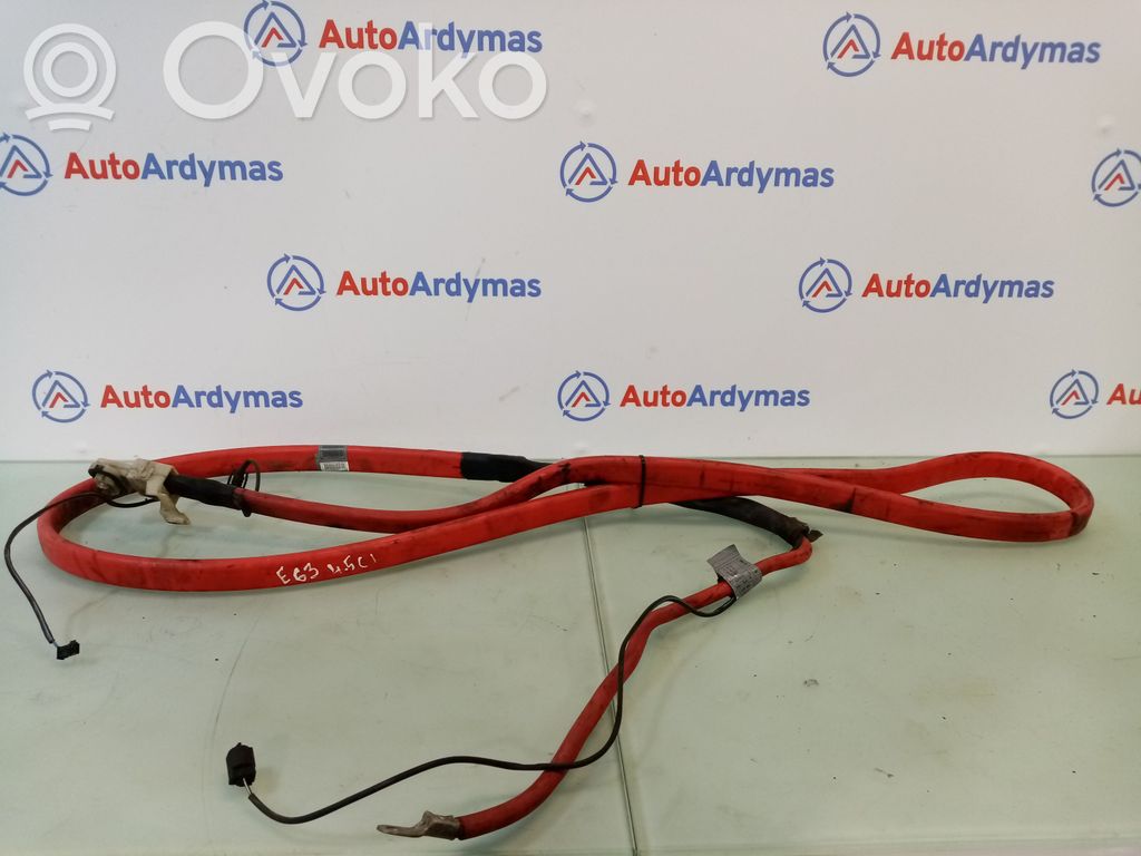 BMW 6 E63 E64 Pliusinis laidas (akumuliatoriaus) 