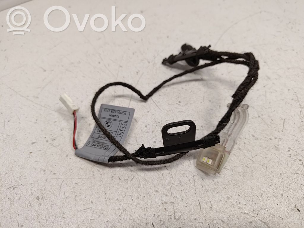 BMW X5 E70 Luz de manecilla de puerta (externa) 