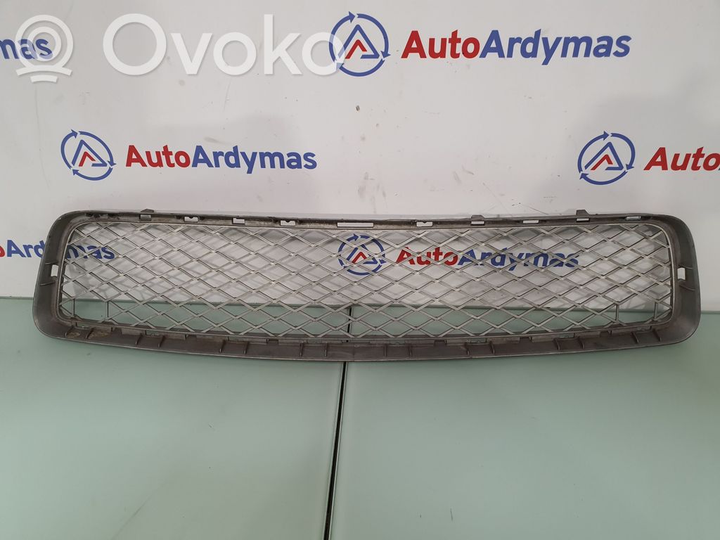 BMW X5 E70 Front bumper lower grill 