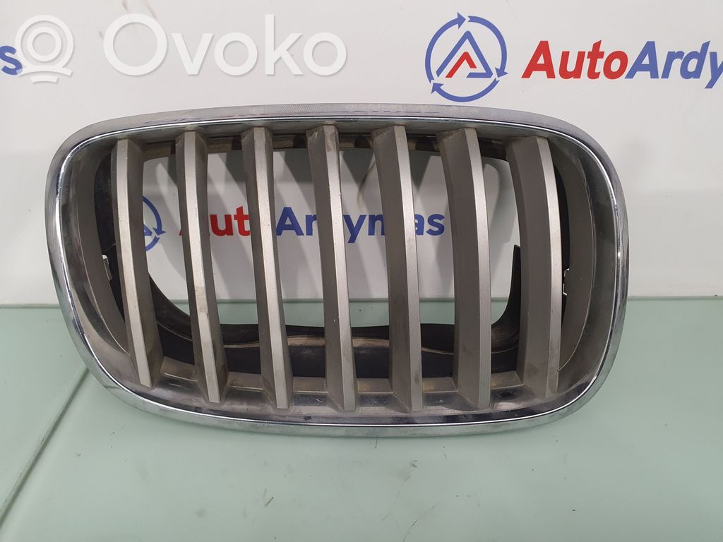 BMW X5 E70 Front grill 