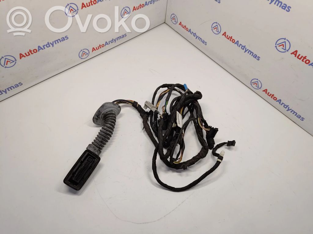 BMW 3 GT F34 Wiązka przewodów drzwi tylnych 