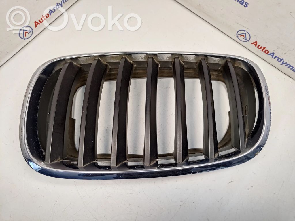 BMW X5 E70 Front grill 
