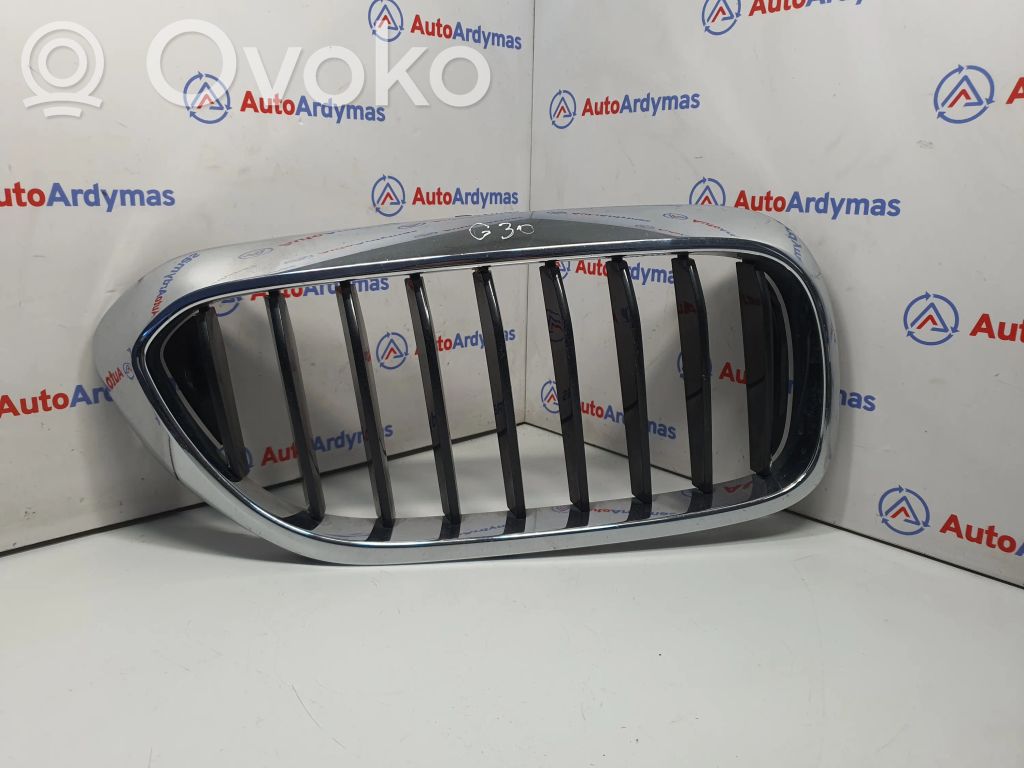 BMW 5 G30 G31 G38 Front bumper upper radiator grill 