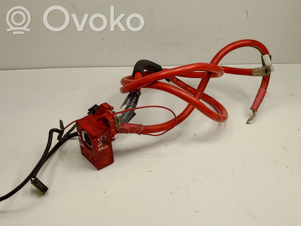 Câble de batterie positif   6989780,61126989780
