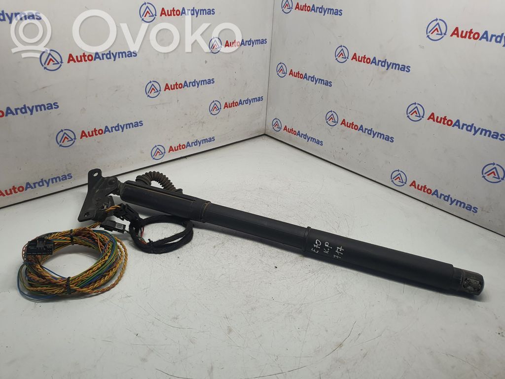 BMW X5 E70 Tailgate/trunk strut/damper 