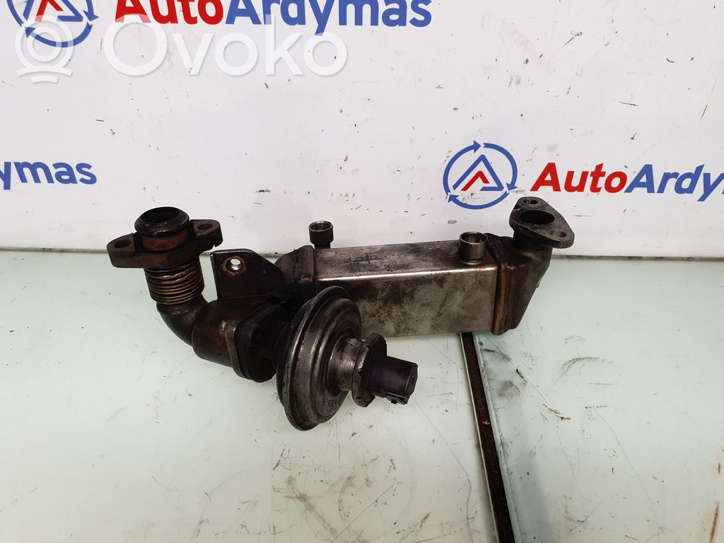 BMW 5 E60 E61 EGR dzesētājs 