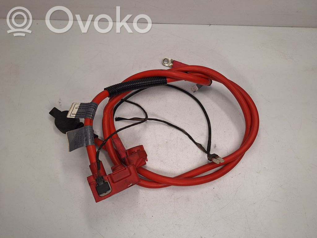 Cable positivo (batería)   6989780,61126989780
