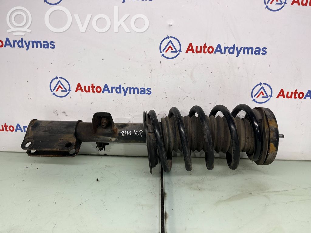 BMW X5 E53 Priekšpusē amortizators 