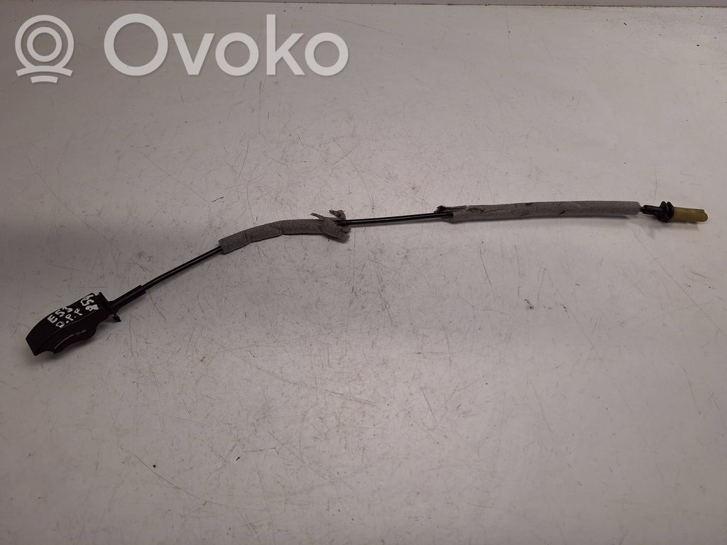 BMW X5 E53 Línea de cable puerta delantera 