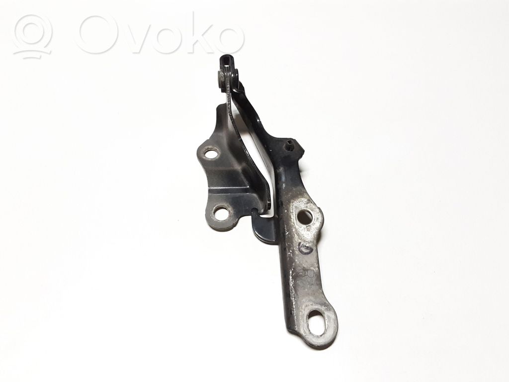 Engine bonnet/hood hinges