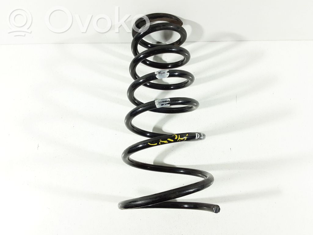 Rear coil spring