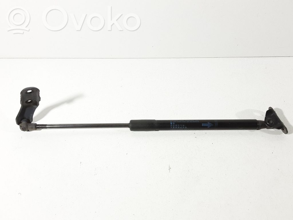 Amortyzator klapy tylnej bagażnika   689600W620,1293010395N