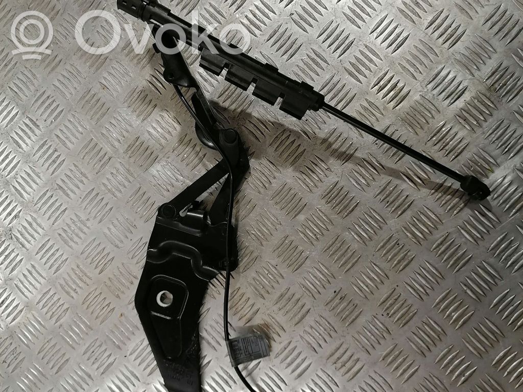 BMW X5 E70 Dzinēja pārsega eņģe (-es) 