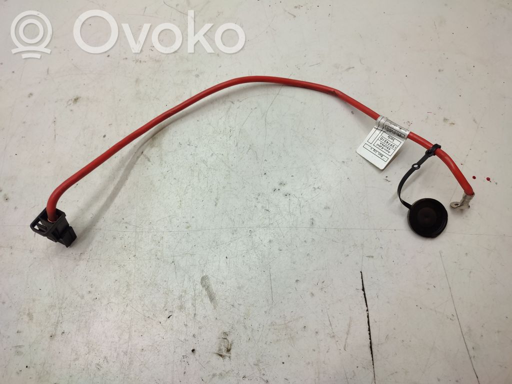 BMW 5 E60 E61 Pliusinis laidas (akumuliatoriaus) 