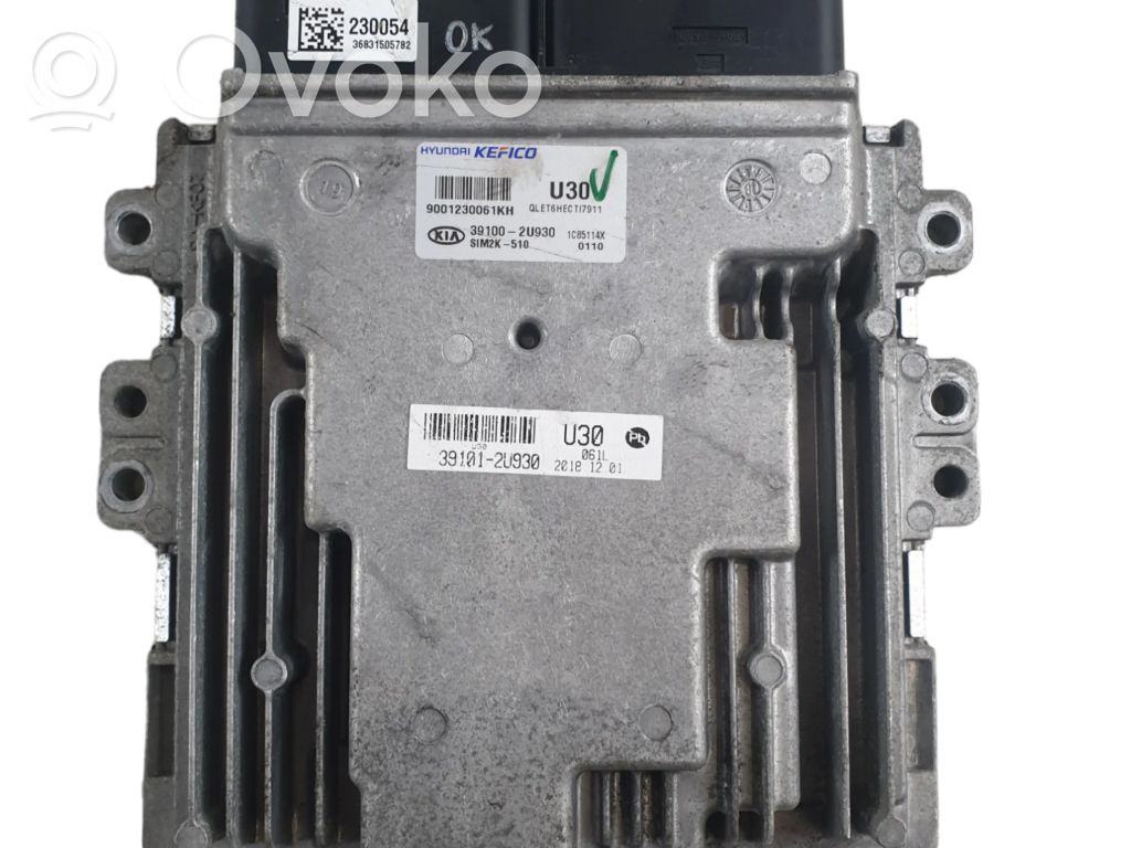 Engine control unit/module   391002U930,391012U930