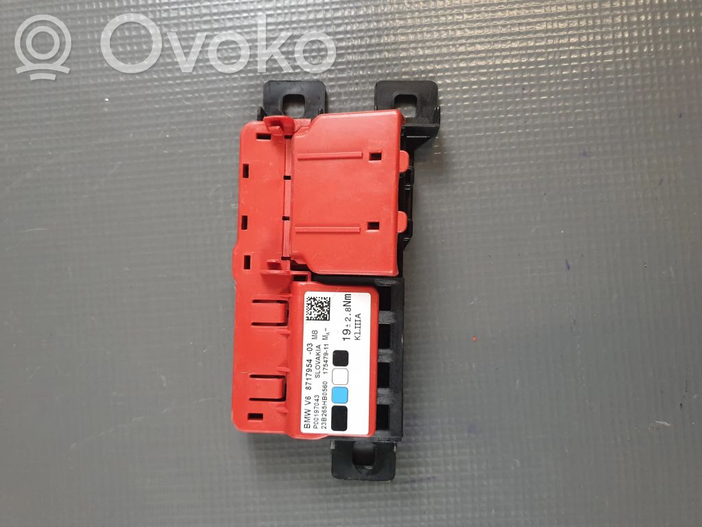 BMW i4 Positive wiring loom 