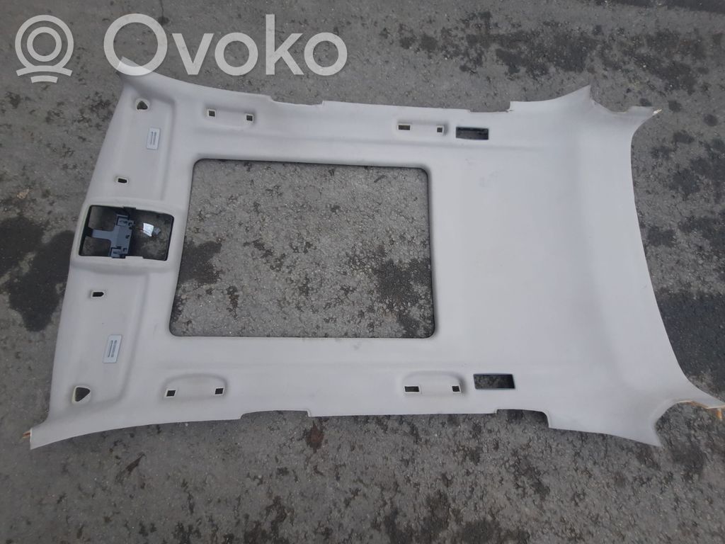 BMW X5 E70 Потолок 