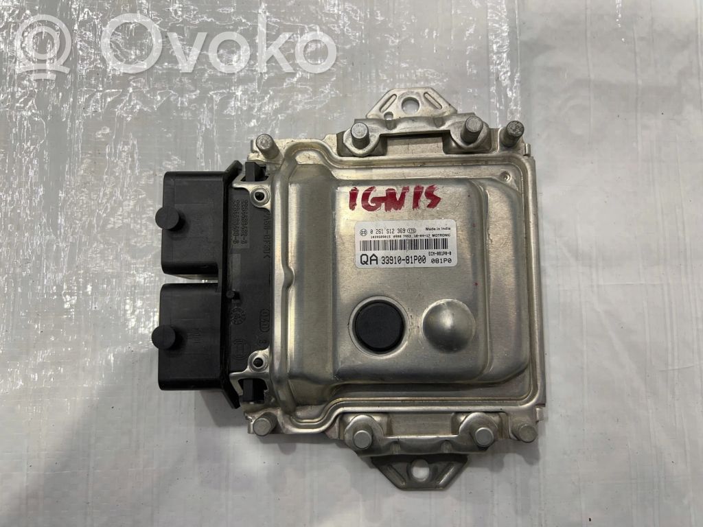 Engine control unit/module   3391081P00