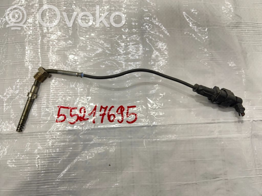 Fiat Bravo Exhaust gas temperature sensor 