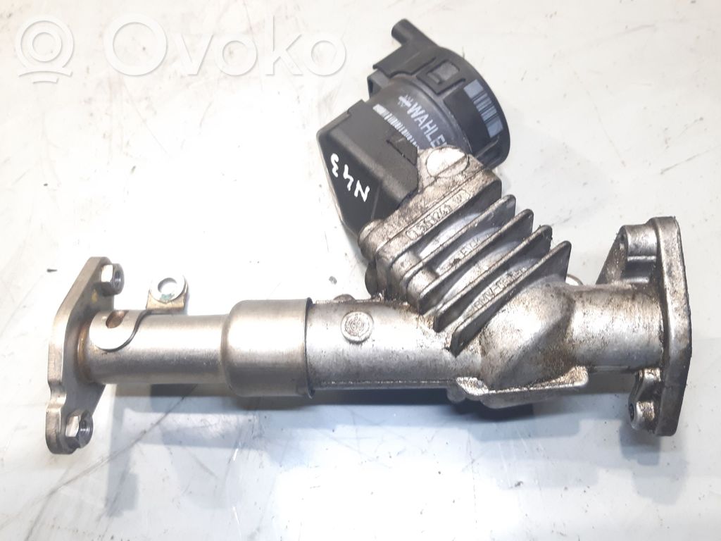 EGR vožtuvas   756324104,4136R038