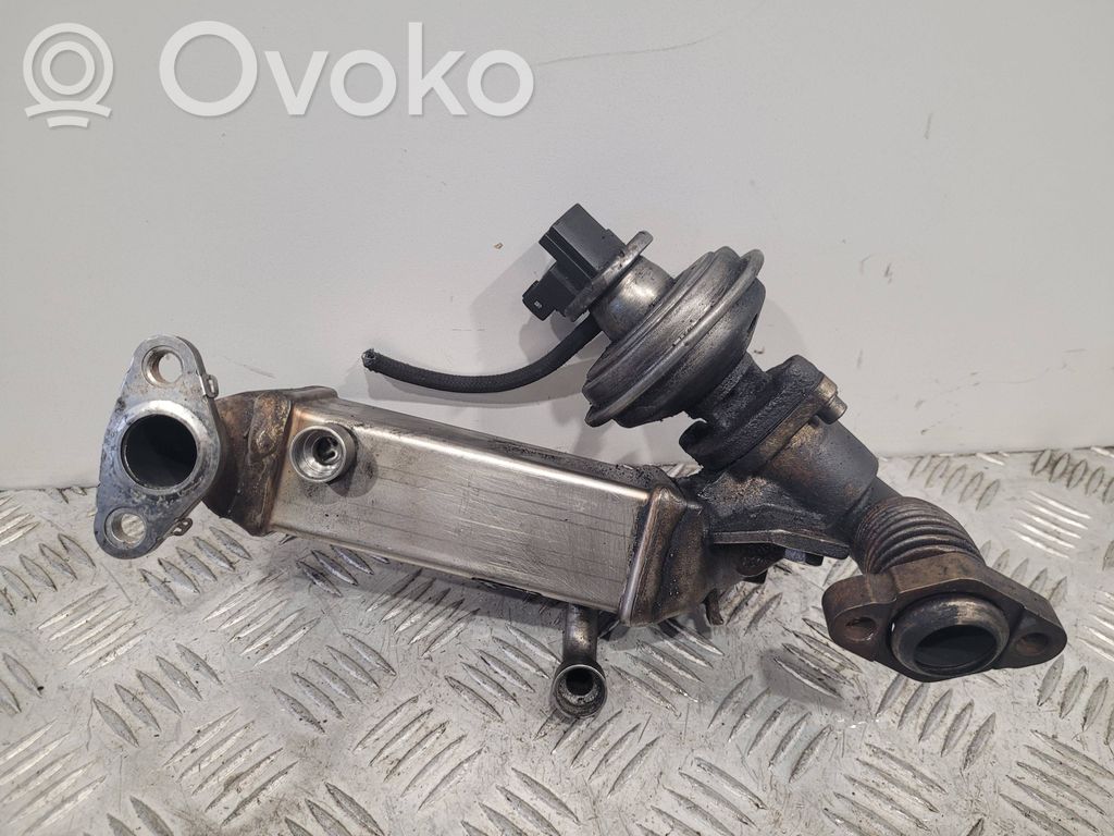 EGR aušintuvas   7805189,DC4302,N3659004