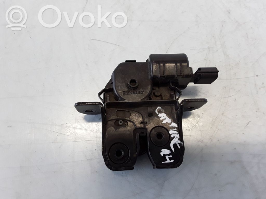 Loading door lock   876307169R