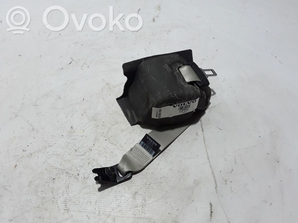 Cinturón trasero   31462759