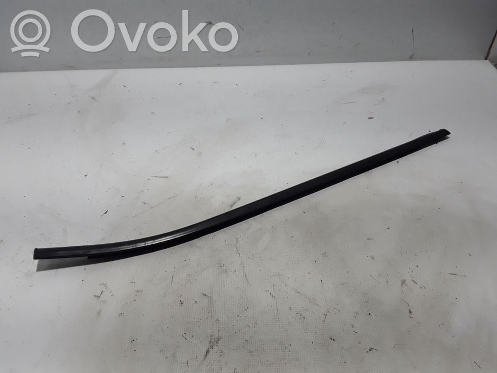 Listwa drzwi tylnych   H1BBA25604AE