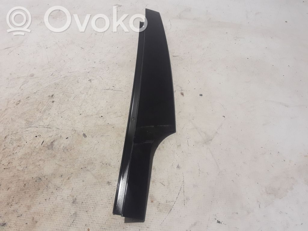 BMW X3 G01 Ornament geam ușă față 