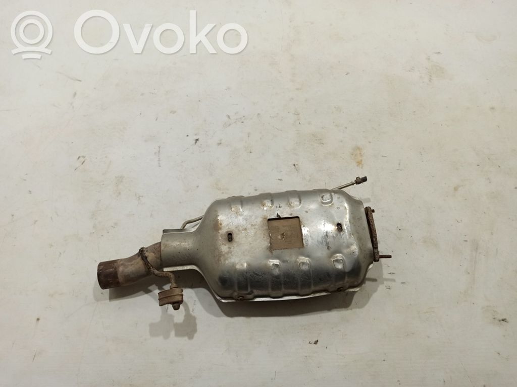 Filtr cząstek stałych Katalizator / FAP / DPF   BJ325H250AC