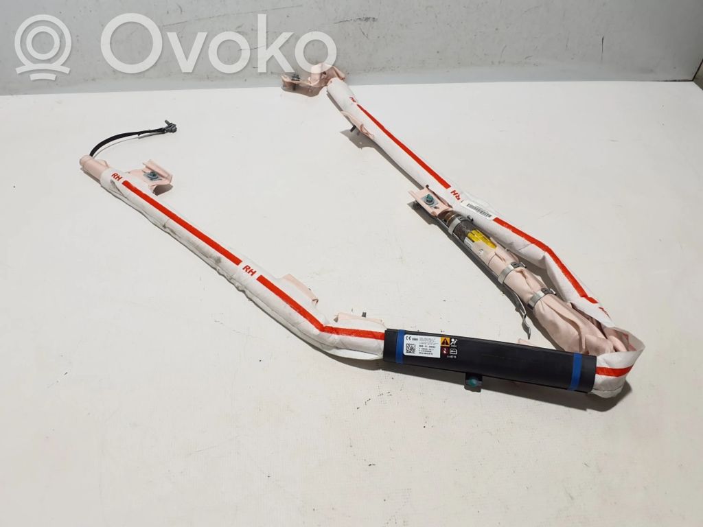 Airbag del techo   1005262