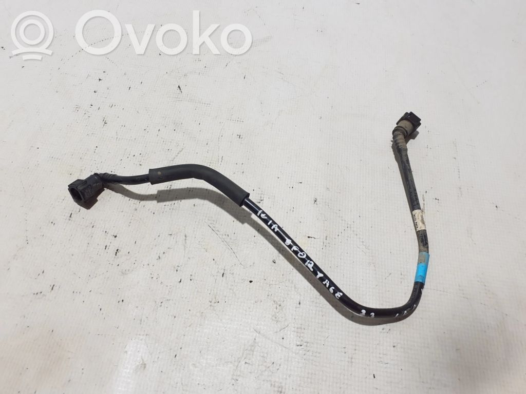 Ilmanoton letku   31174CZ800