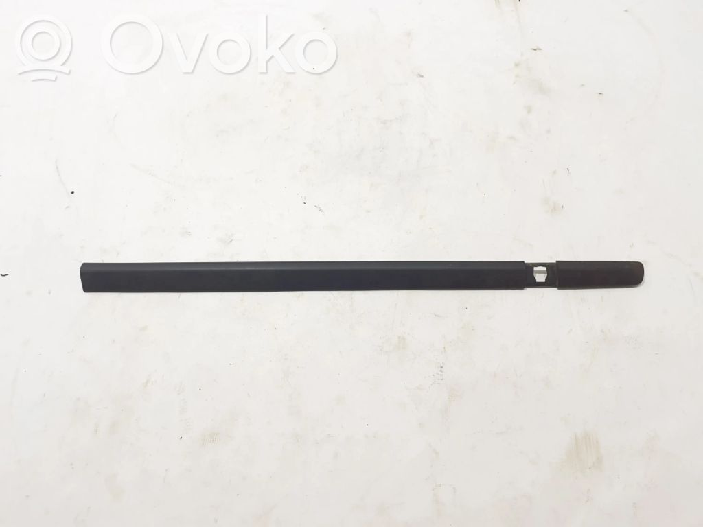 Renault Clio III Front door trim (molding) 