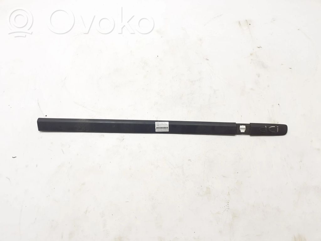 Renault Clio III Front door trim (molding) 