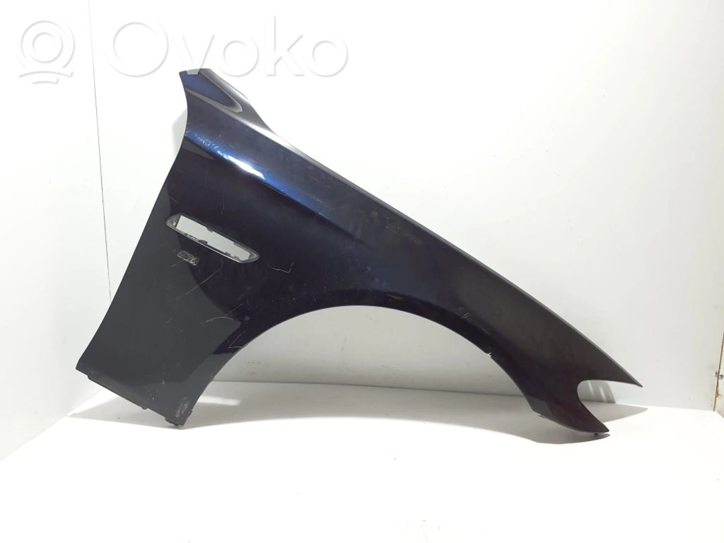 Parafango   7248660