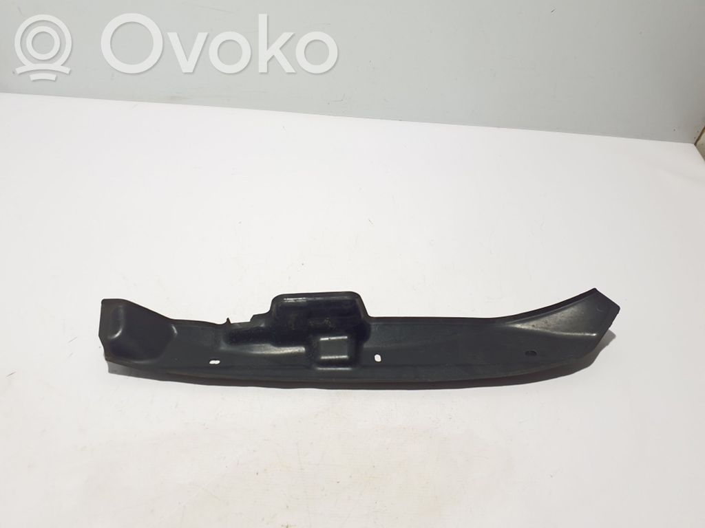 Muu korin osa   31353953