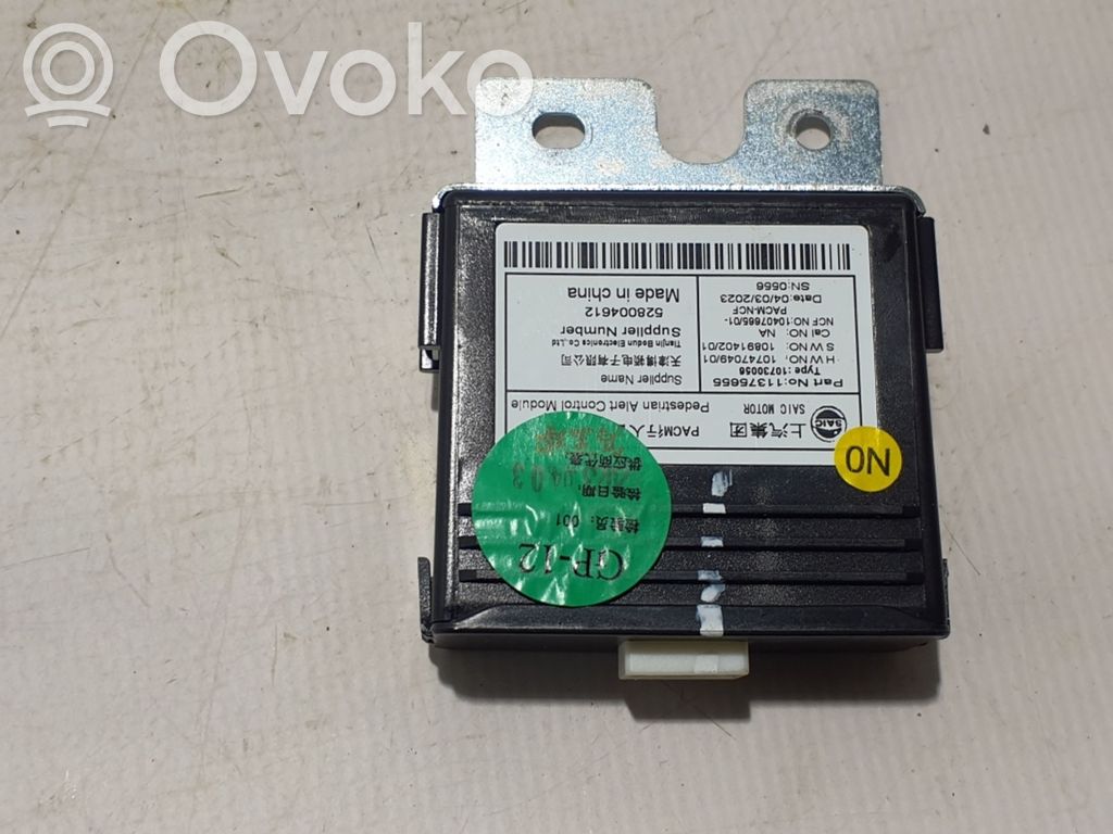 MG ZS Other control units/modules 