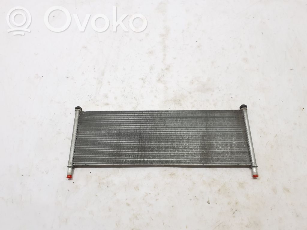 Optional radiator   104849800B