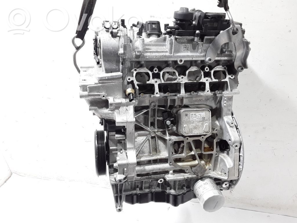 Cupra Formentor Engine 