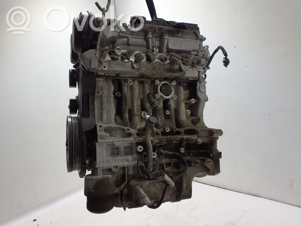 Variklis   B4204T46