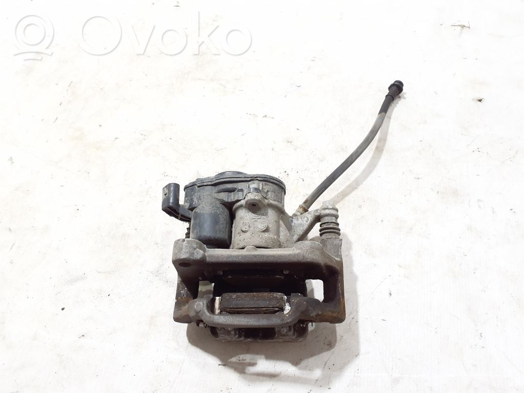 Takajarrusatula   440005849R