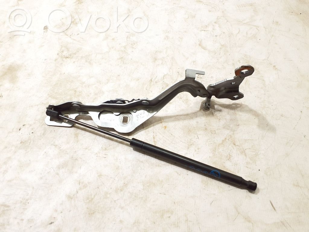 Ford Mach-E I Vyris (-iai) variklio dangčio